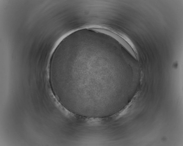 X0000091081148200708201427