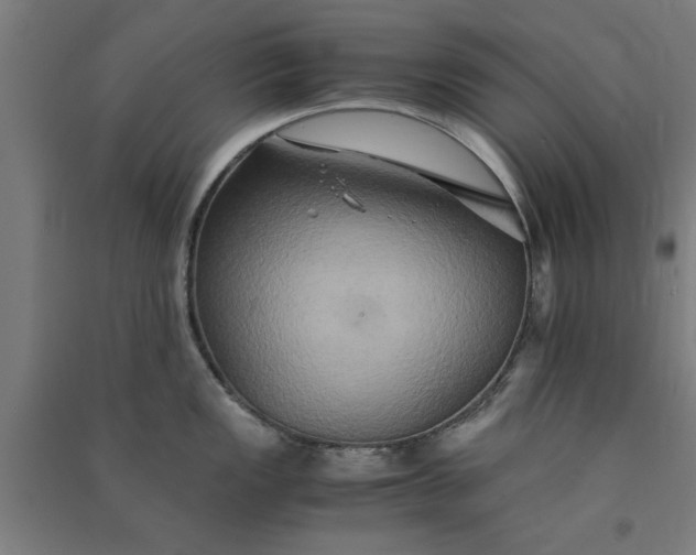 X0000091081149200708201427