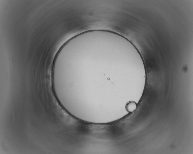 X0000091081150200708201427