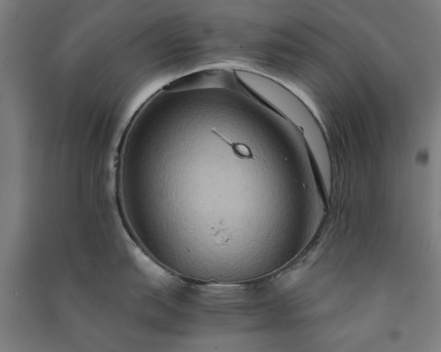 X0000091081151200708201427