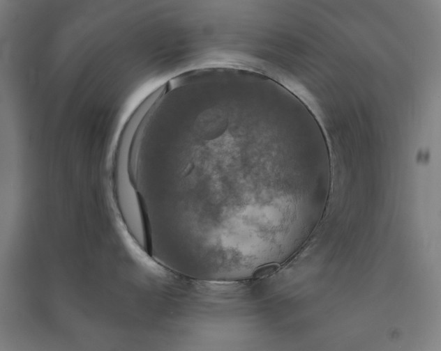 X0000091081152200708201427