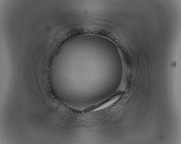 X0000091081153200708201427