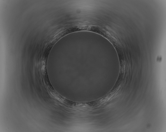 X0000091081154200708201427