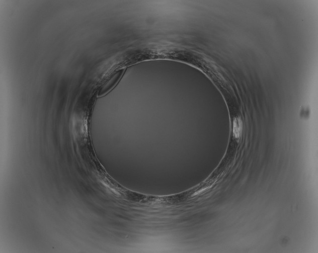 X0000091081155200708201427