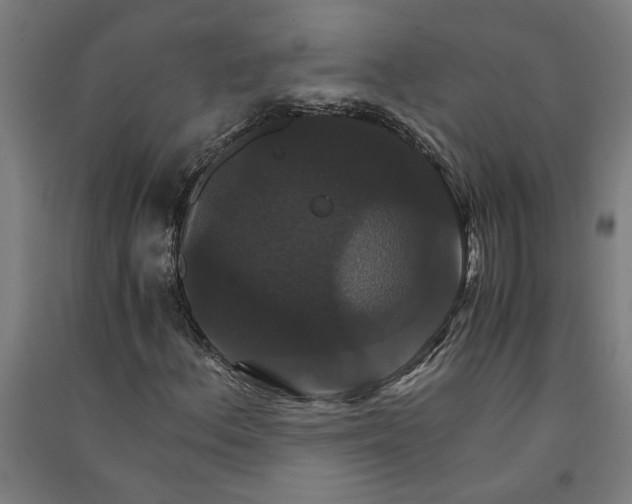 X0000091081156200708201427