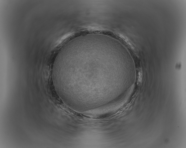 X0000091081157200708201427