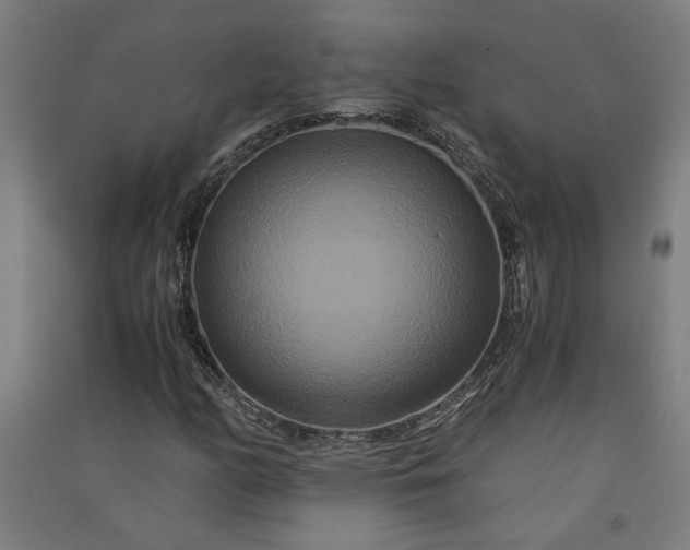 X0000091081158200708201427