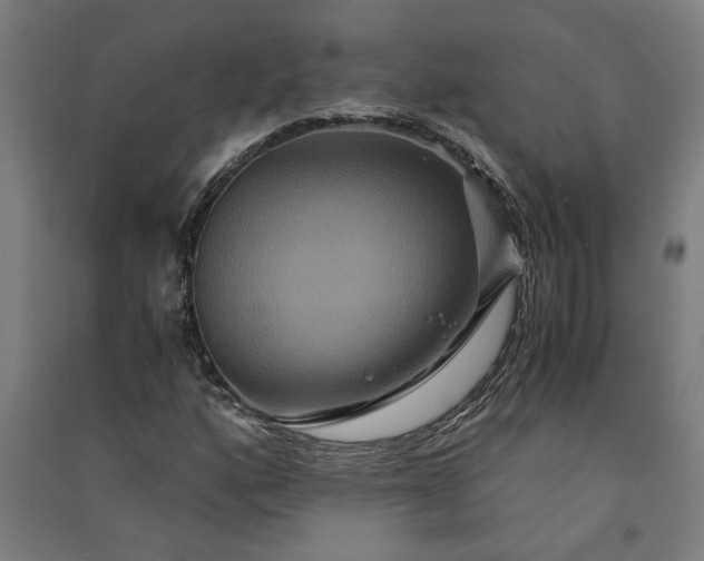 X0000091081160200708201427