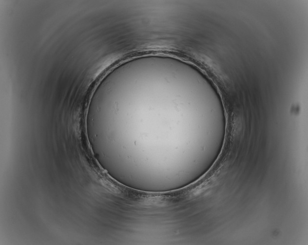 X0000091081162200708201427