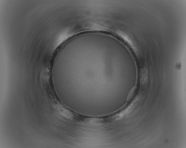 X0000091081163200708201427