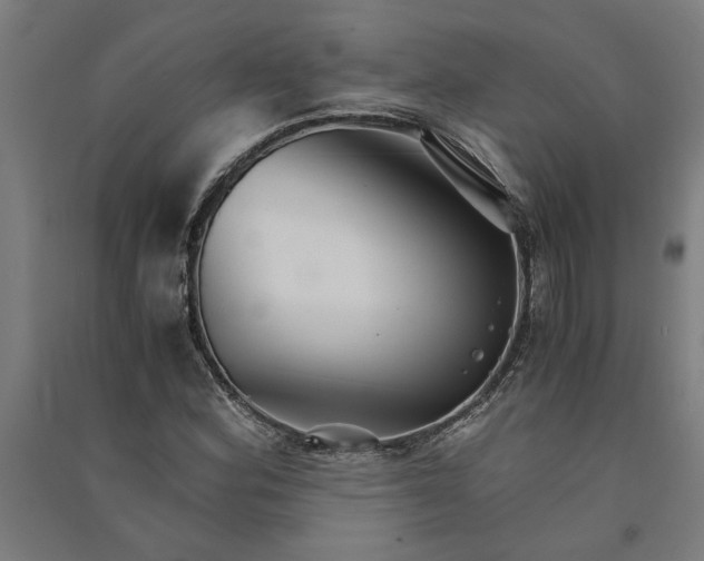 X0000091081164200708201427