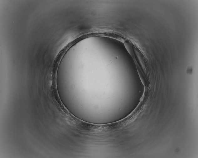 X0000091081165200708201427