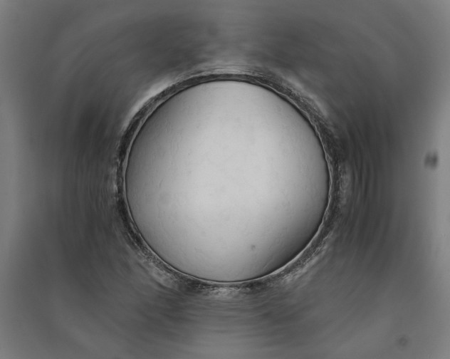 X0000091081166200708201427