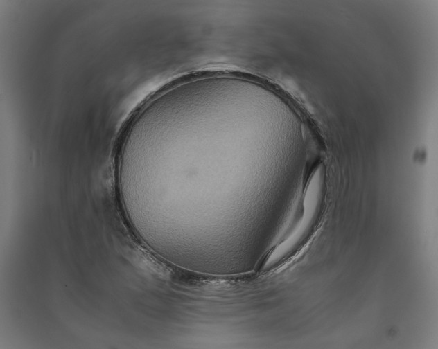 X0000091081167200708201426