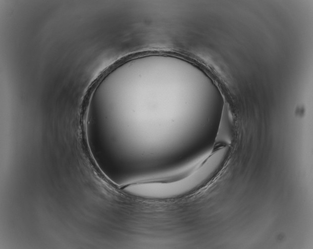 X0000091081168200708201426