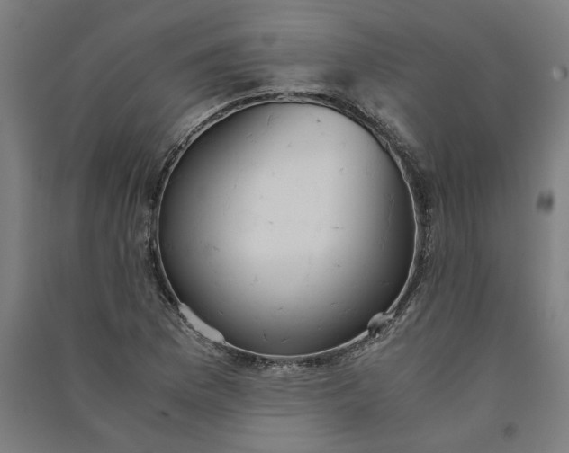 X0000091081169200708201426