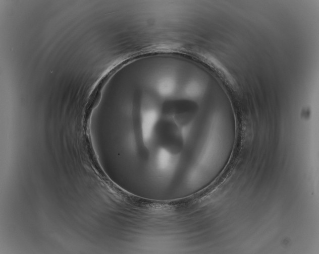 X0000091081170200708201426