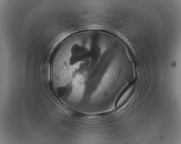 X0000091081171200708201426