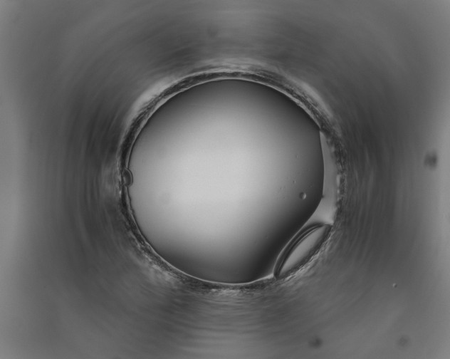 X0000091081172200708201426