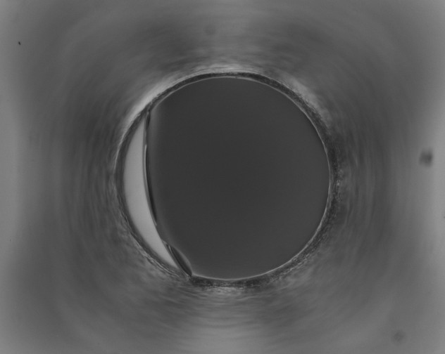 X0000091081173200708201426