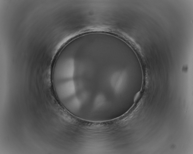 X0000091081174200708201426