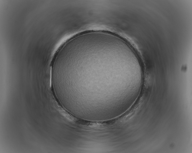 X0000091081175200708201426