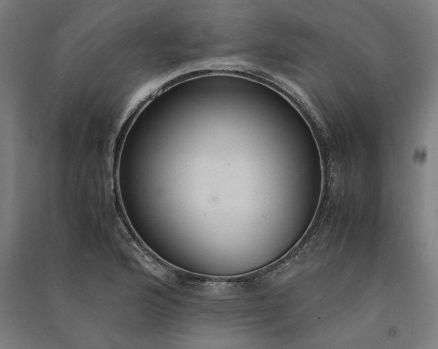 X0000091081176200708201426