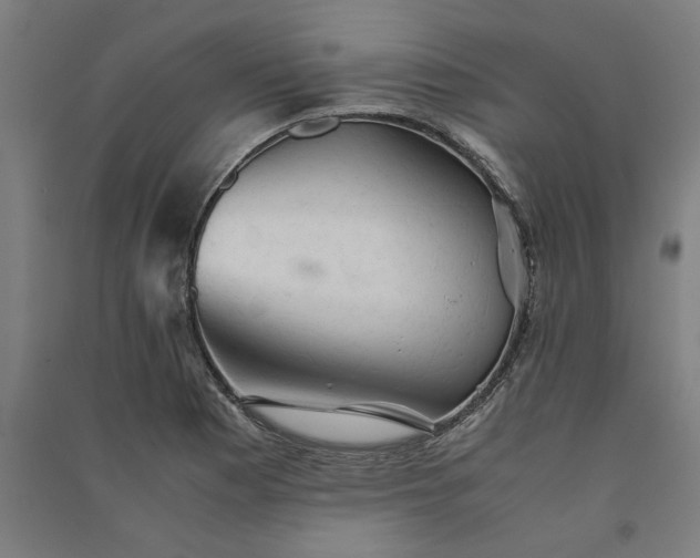 X0000091081177200708201426