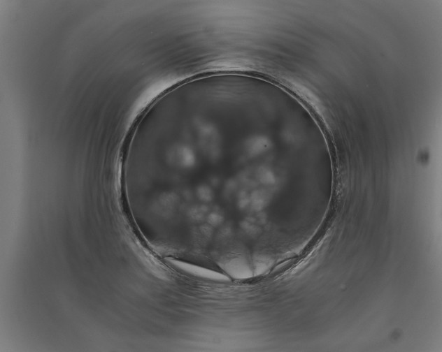 X0000091081179200708201426