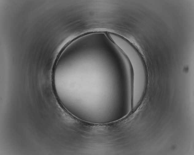 X0000091081181200708201426