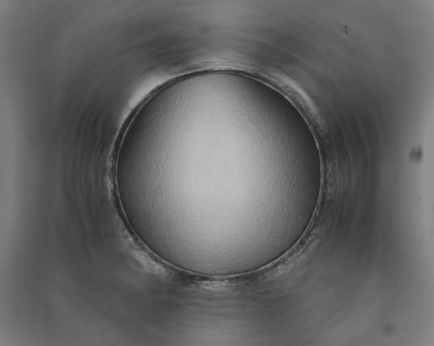 X0000091081182200708201426