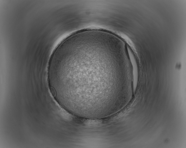 X0000091081183200708201426