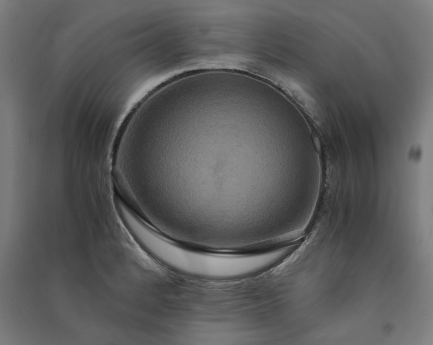 X0000091081184200708201426