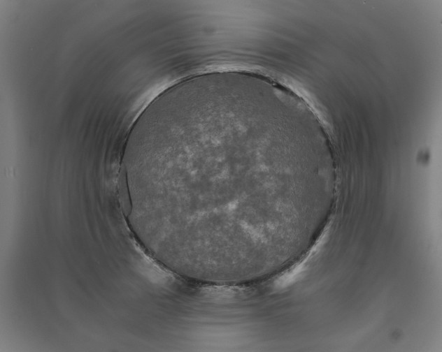 X0000091081185200708201426