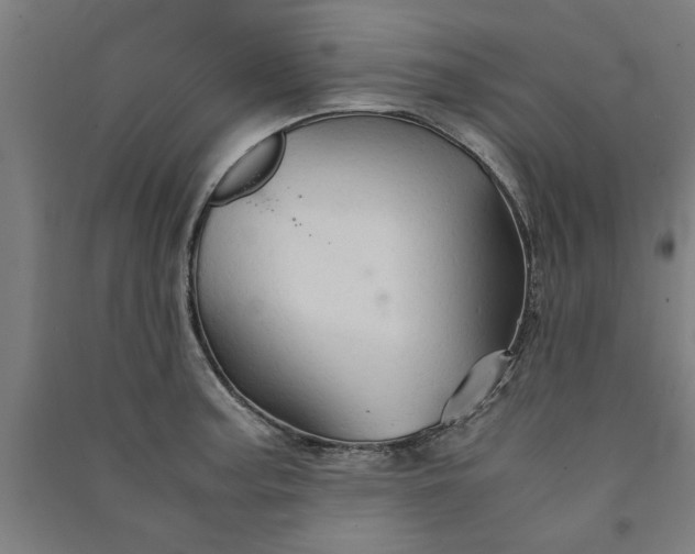 X0000091081187200708201426