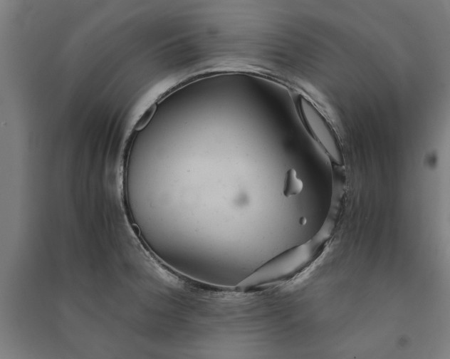 X0000091081188200708201426