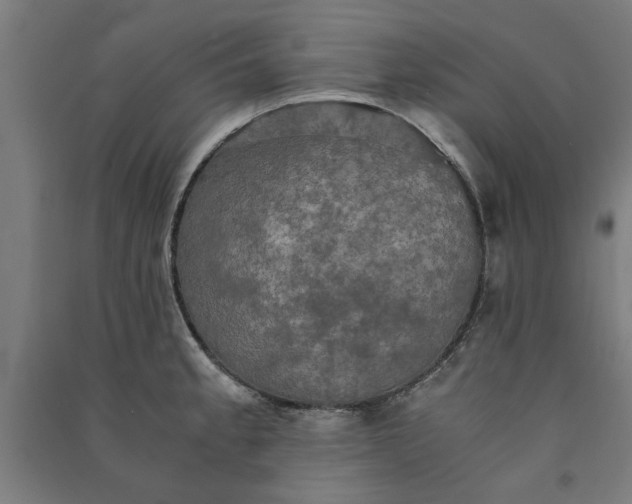 X0000091081189200708201426