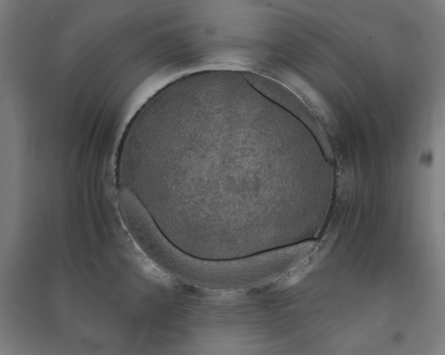 X0000091081192200708201426