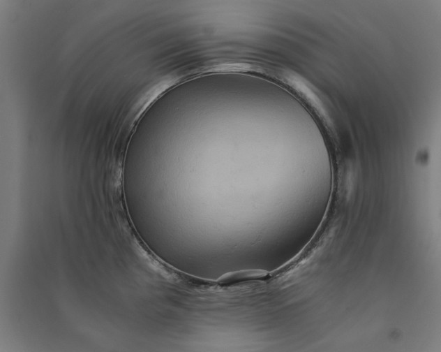 X0000091081193200708201426