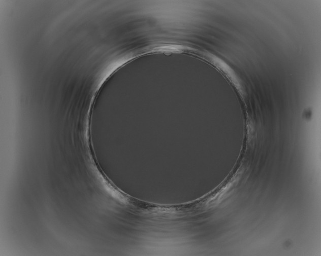 X0000091081194200708201426