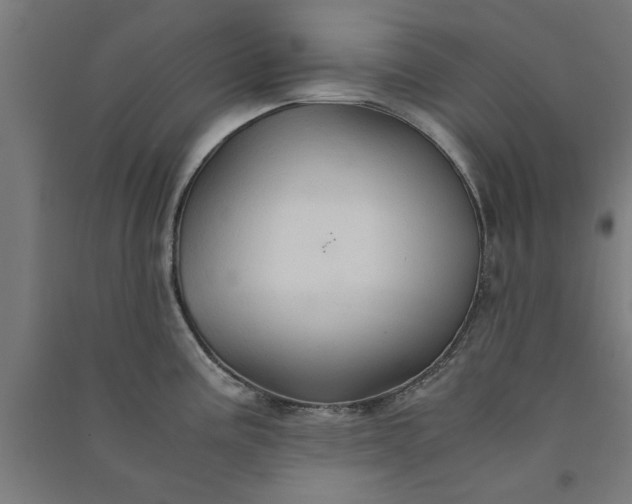 X0000091081195200708201426