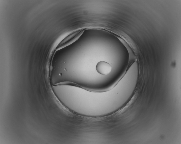 X0000091081196200708201426