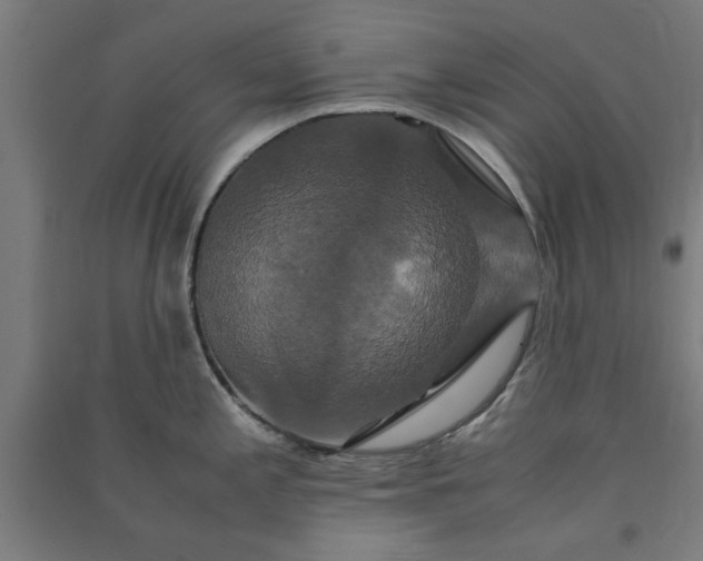 X0000091081197200708201426