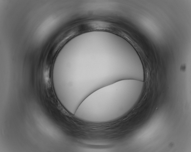 X0000091081198200708201426