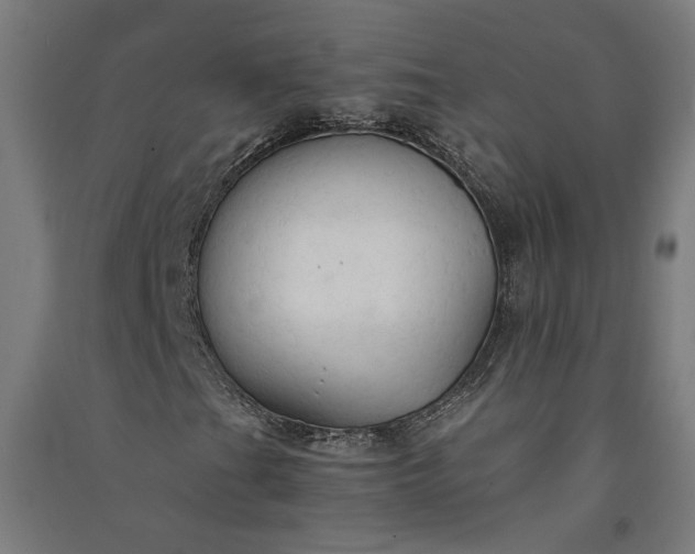 X0000091081201200708201425