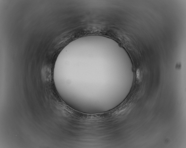 X0000091081203200708201425