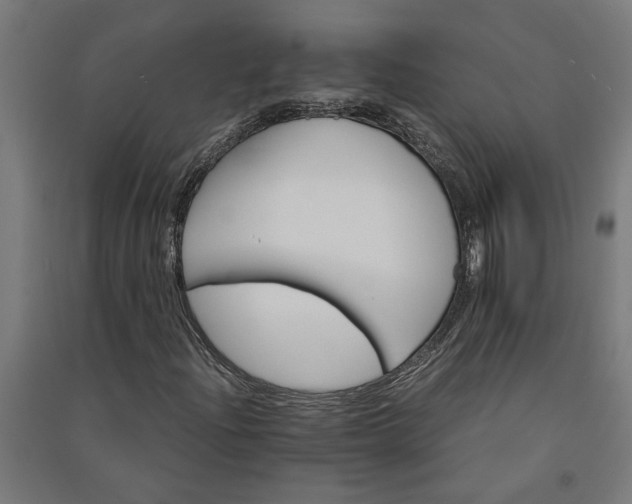 X0000091081204200708201425