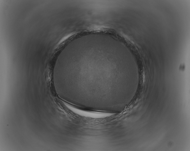 X0000091081206200708201425