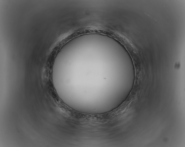 X0000091081207200708201425