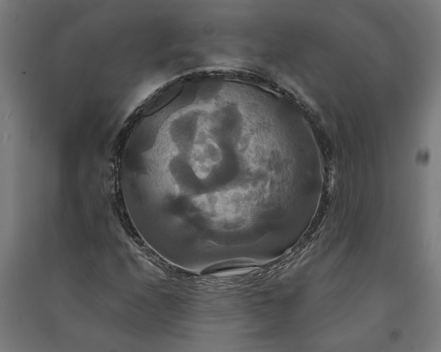 X0000091081208200708201425